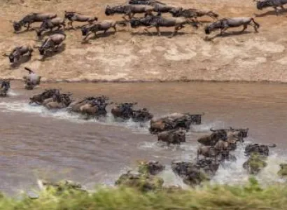 Mara River Migration Safari 7 Days - 6 Nights Tour