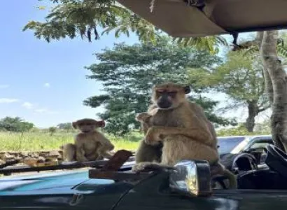 Ngorongoro And Serengeti Safari Adventure 5 Days Tour