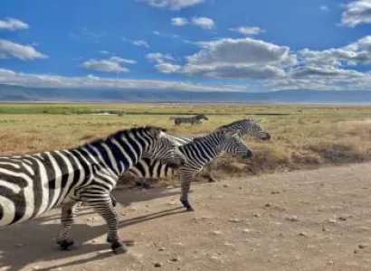 Tanzania Guided Tour 06 Days