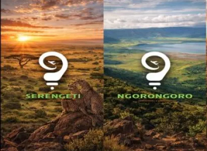 4 Day Tanzania Safari Mid Range