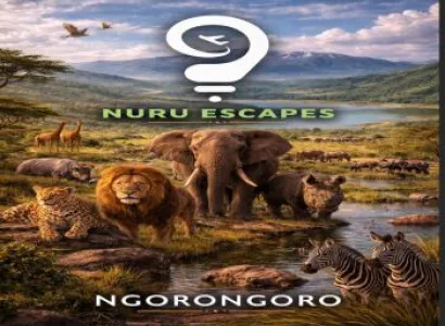Ngorongoro Crater Day Trip