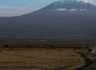 7 Days Kilimanjaro Lemosho Route Tour