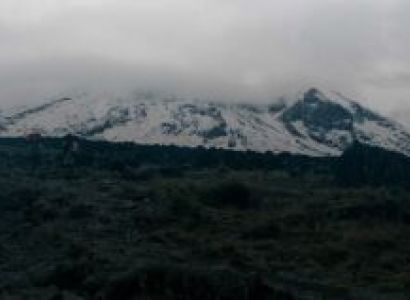 7 Days Kilimanjaro Shira Route Tour