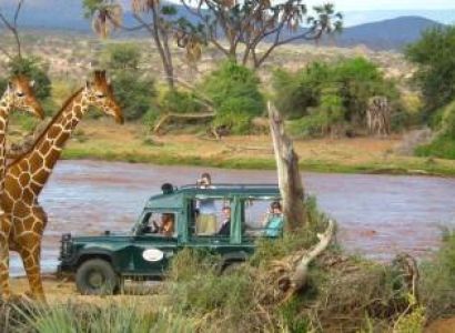 3 Days Safari Serengeti - Ngorongoro Crater Tour