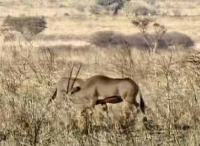 4D Safari Tarangire - Serengeti - Ngorongoro - Lake Manyara From Arusha