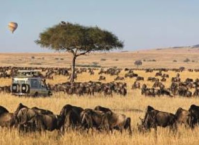 4 Days Safari Masai Mara - Lake Nakuru National Park From Nairobi