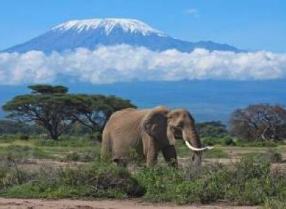 3 Days Safari Tsavo East - Amboseli National Park Tour