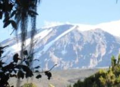 Lemosho Route 8 Days Highlights Tour