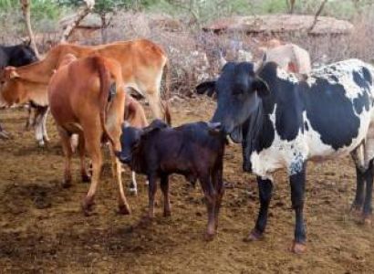 Iraqw Culture Center - Cultural Immersion Tour