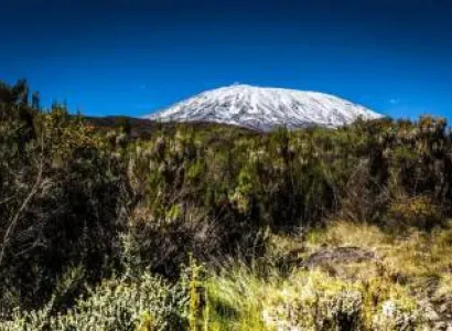 8 Days Marangu Route - 6 Days Hiking Tour
