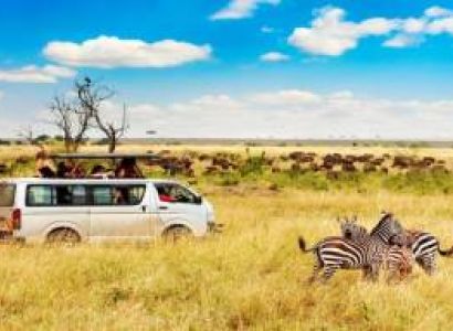 06 Nights - 07 Days Kenya Safari Package - Standard
