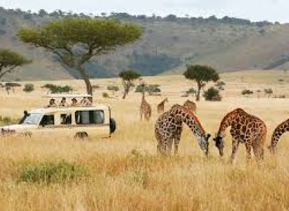 06 Nights - 07 Days Kenya Safari Package - Budget