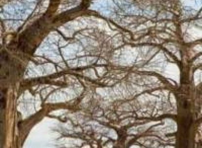 10 Days Southern Escape Safari Tour