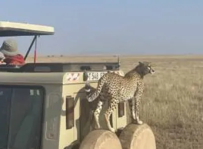 20 Nights Tanzania Adventure Tour