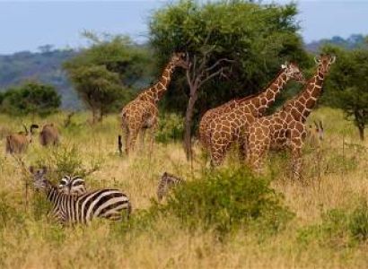 4 Days - Mount Meru Hiking Tour