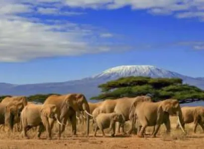 4 Days Amboseli Adventure Tour