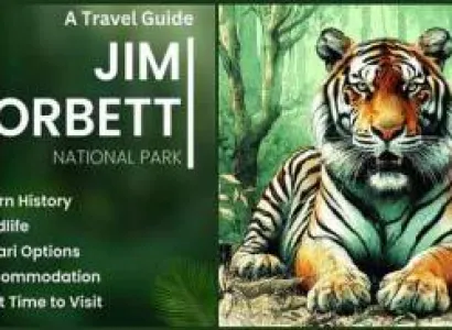 2 Night 3 Day Delhi To Jim Corbett Tour Package