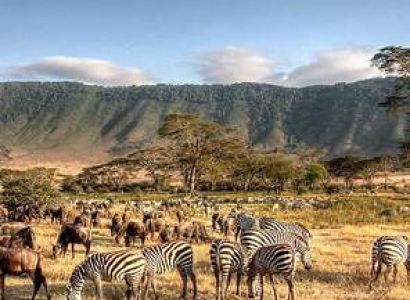 Extended Safari 4 Days - 3 Nights Tour