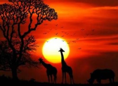 Masai Mara 3-Day Safari Activities