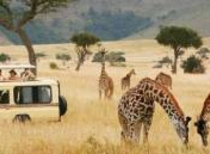 3 Days Masai mara Safaris