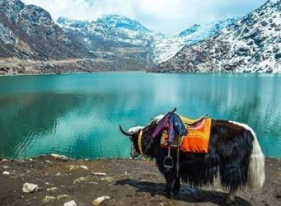 7N Gangtok - Lachung - Darjeeling Tour Package