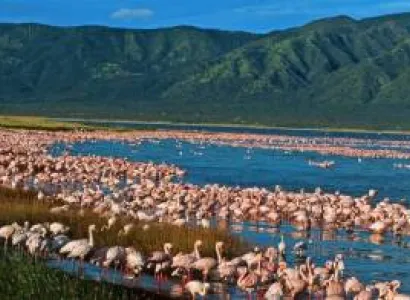 Road Package - Lake Bogoria - Lake Baringo - Lake Nakuru - Masaai Mara - Nairobi