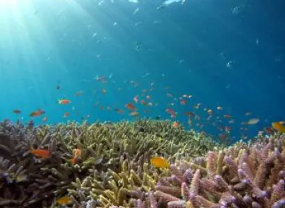 Lakshadweep Paradise 3 Night - 4 Days Tour