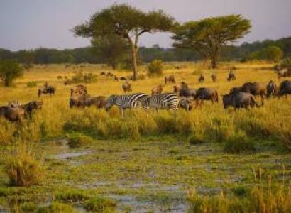 16 Days - 15 Nights Kenya-Tanzania Grand Safari Tour