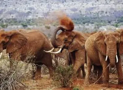 9 Days - 8 Nights Samburu - Classic Kenya Safari Tour