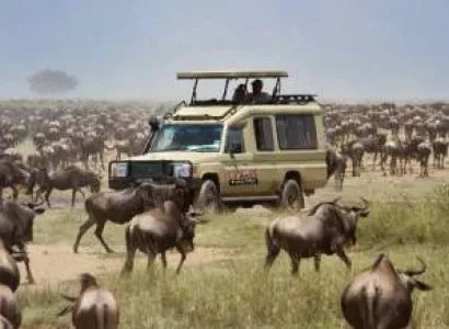 8-Day Luxury Wildlife Viewing Safari Experience Tour