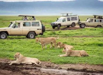 8 Days Arusha - Ngorongoro And Manyara Tour