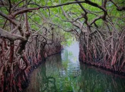 7 Days 6 Nights to Sri Lanka All Inclusive Honeymoon Tour