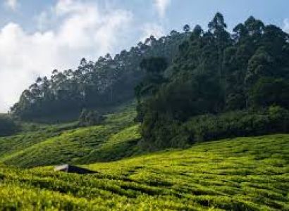 Rengha Holidays & Luxury Travels: Theni to Cochin (Kochi) Tour Package