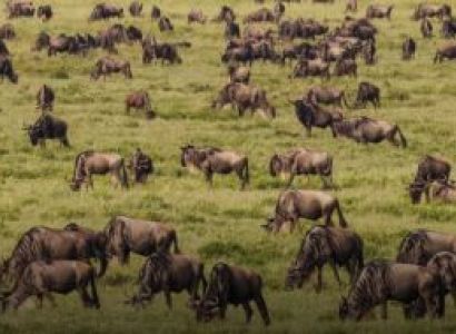 Luxury Safari 6 Days - 5 Nights Tour