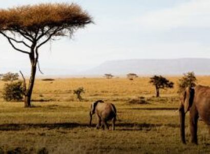 Tanzania High End Safari 6 Days - 5 Nights Tour