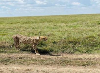 4-Day Lake Natron Expedition