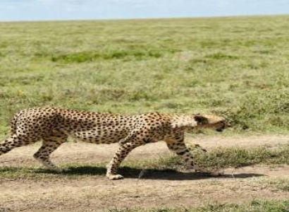 2 Days The Majestic Wonders of Arusha