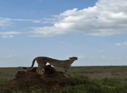 4 Days the Wonders of Tarangire