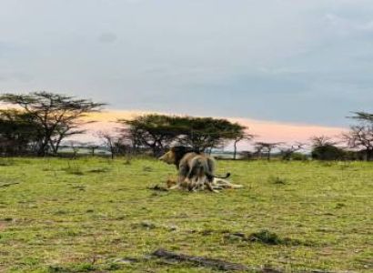 6 Days Northern Circuit Safari FAM Trip