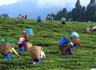Assam Meghalaya - 5 Nights - 6 Days Tour