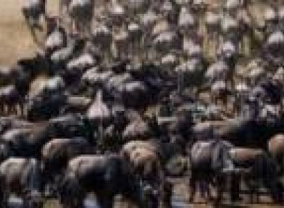 4-Day Beach To Bush - Fly In - Fly Out Luxury Tour