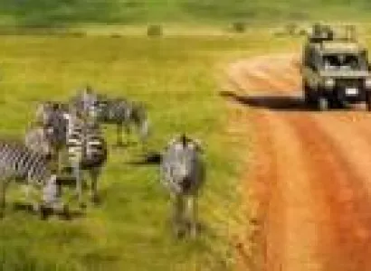 6-Day Luxury Honeymoon Safari - Beach Holiday Tour