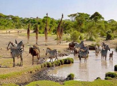 4-Day Beach To Bush - Fly In - Fly Out Luxury Tour