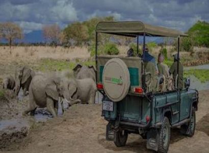 5-Day Beach Holiday - Game Drive Safari Tour From Zanzibar