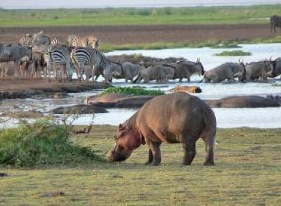 8-Day Safari - Beach Holiday Tour