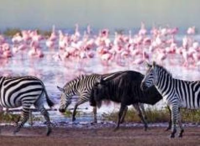 2 Days Nairobi & Nakuru Tour Package Standard