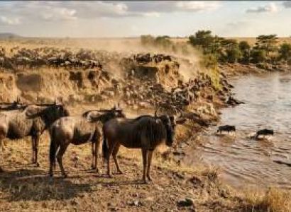 2 Days Nairobi & Masai Mara Luxury Tour Package