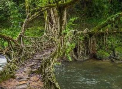 North East India Tour Package 15 Days