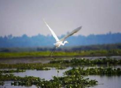 Assam Tour Package - 8 Days 7 Nights