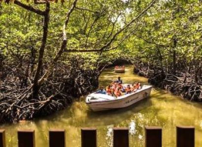 Wanderlust Andaman With Baratang - Havelock And Neil Island Tour